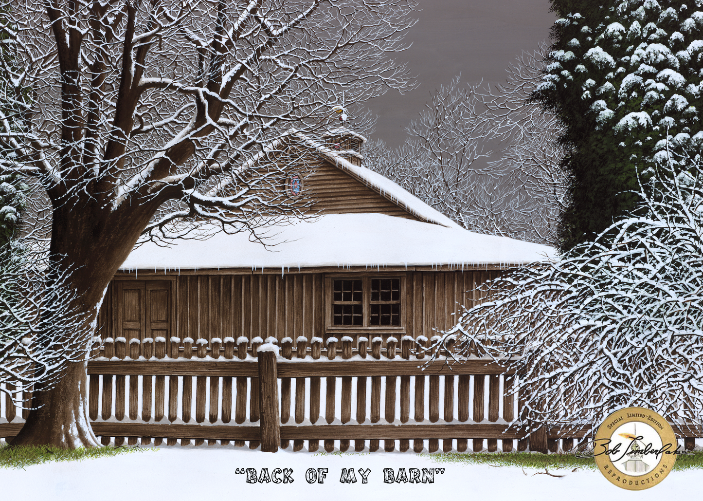 Back of my Barn