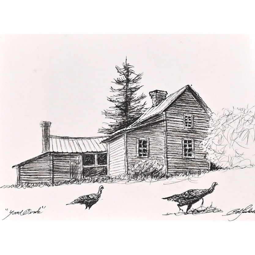 Yard Birds Study