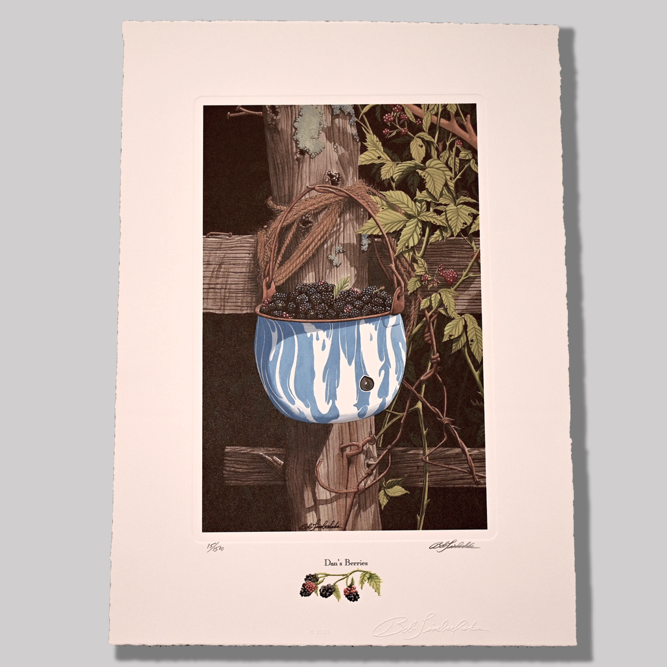 Dan's Berries 15/1500
