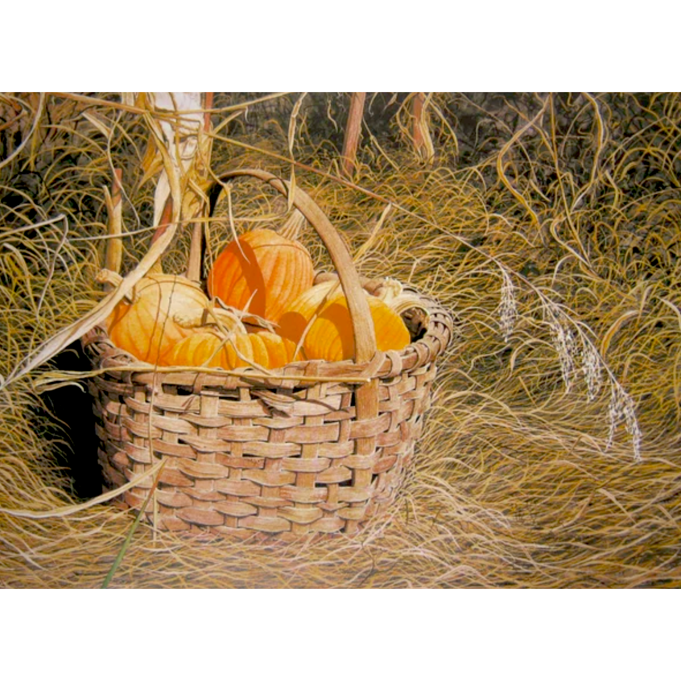 Pumpkins from my Garden