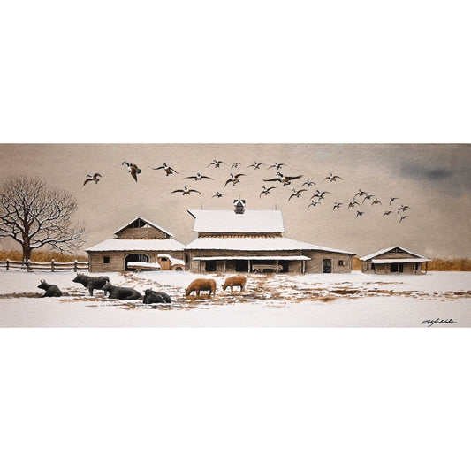 Decoying at Sheets Farm