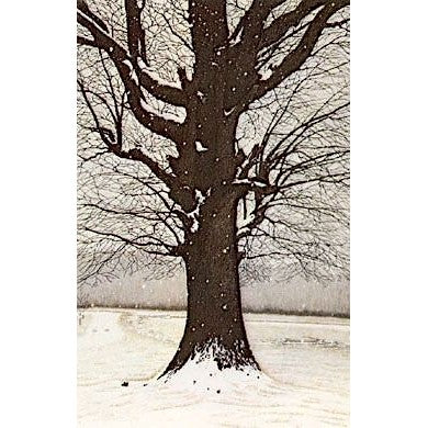 Snow World