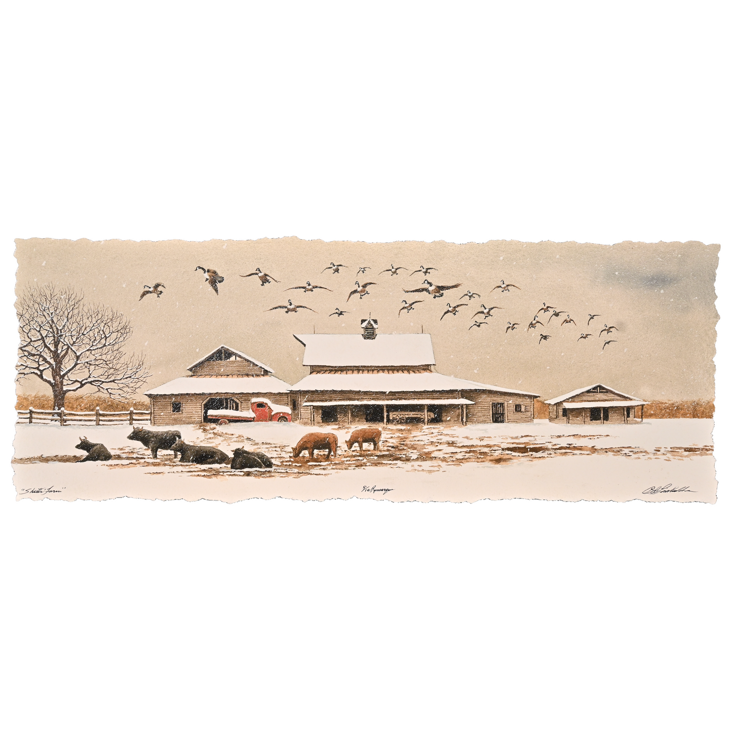 Sheets Farm # 8/10