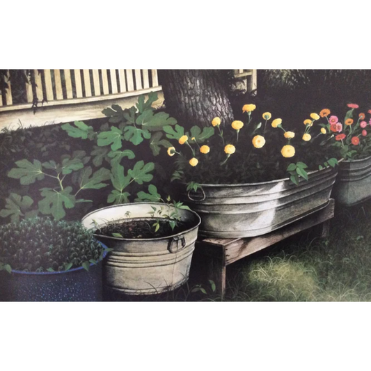 Mrs. Leonard's Backyard
