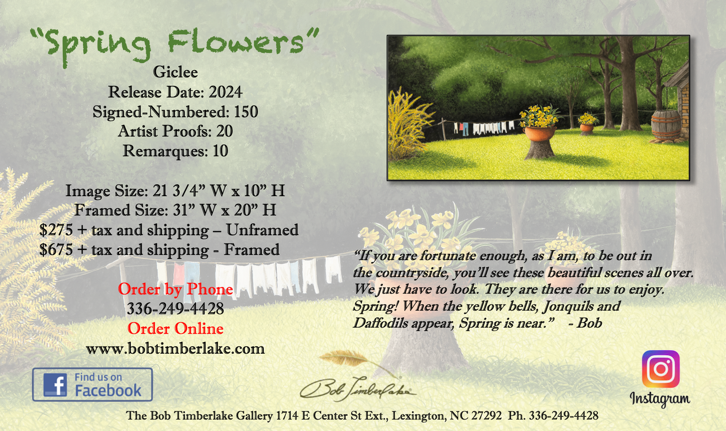 Spring Flowers