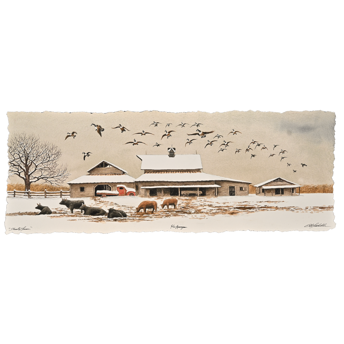 Sheets Farm # 6/10