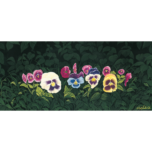 Luna's Pansies