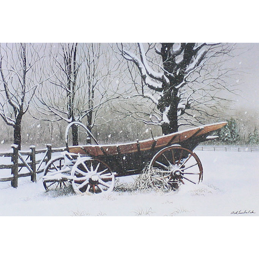 Winter Portfolio