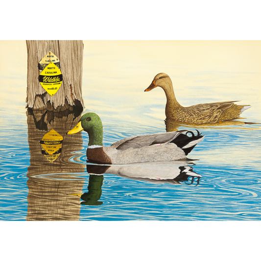 N.C. Mallards
