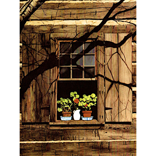 Studio Geraniums