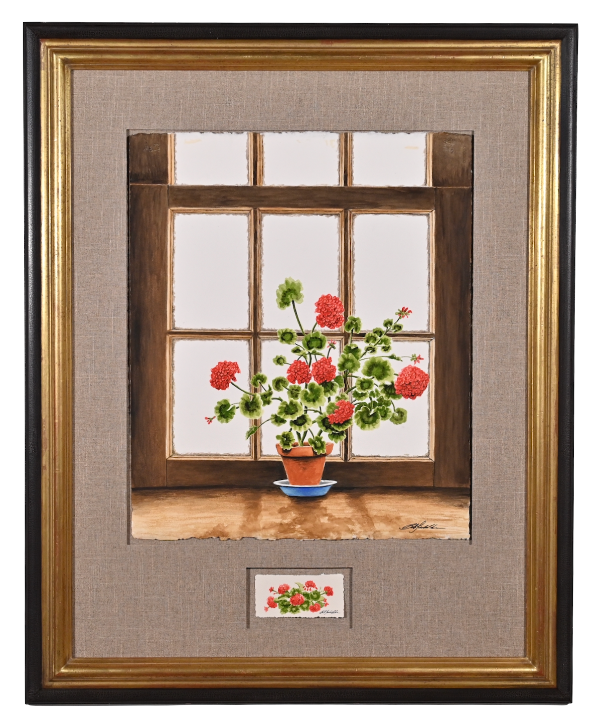 Window Geranium