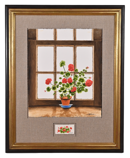 Window Geranium