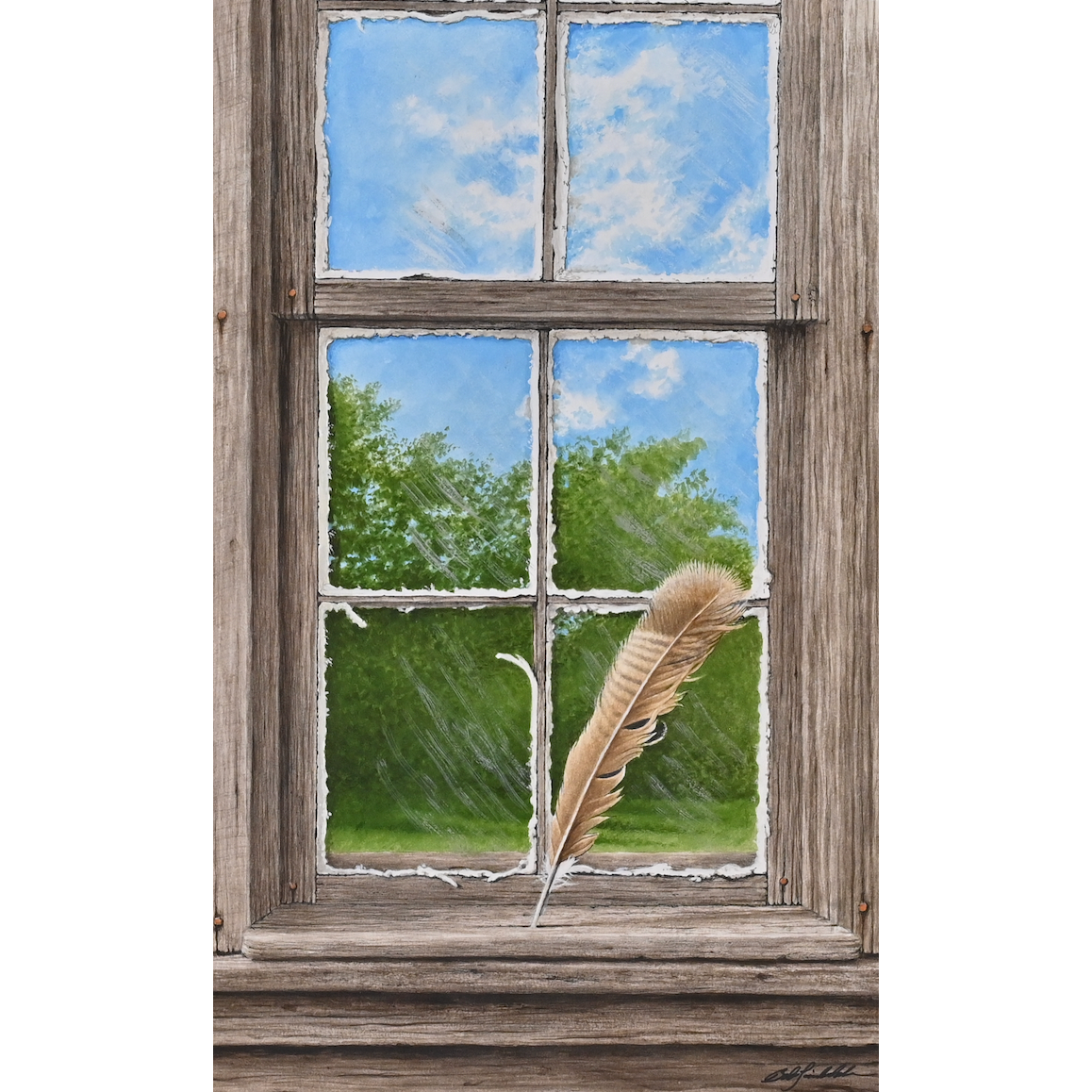 Turkey Feather Window