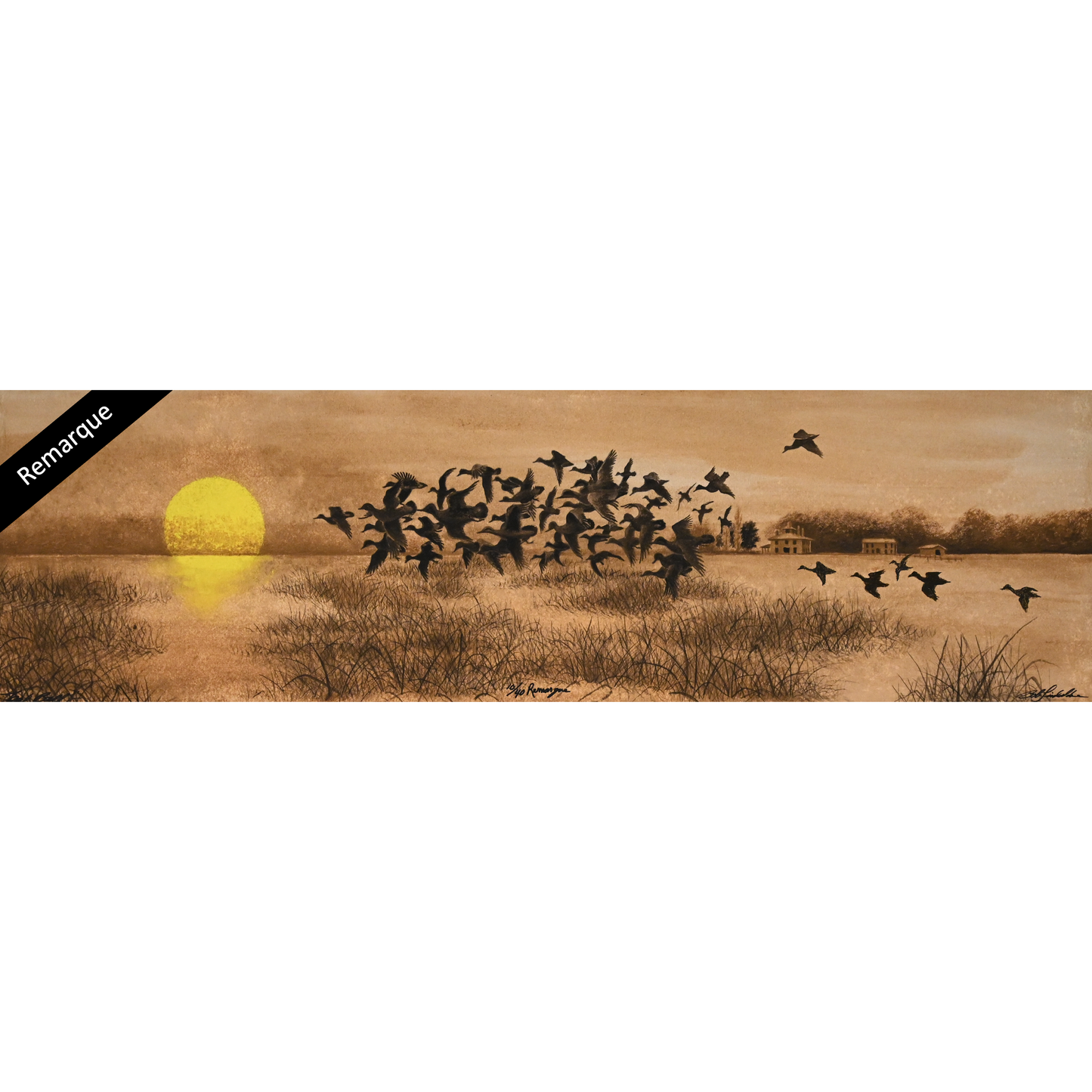 Teal Ball 10/40