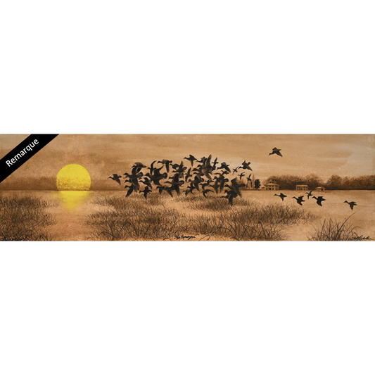 Teal Ball 10/40