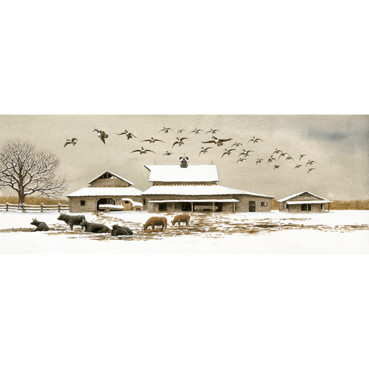 Sheets Farm