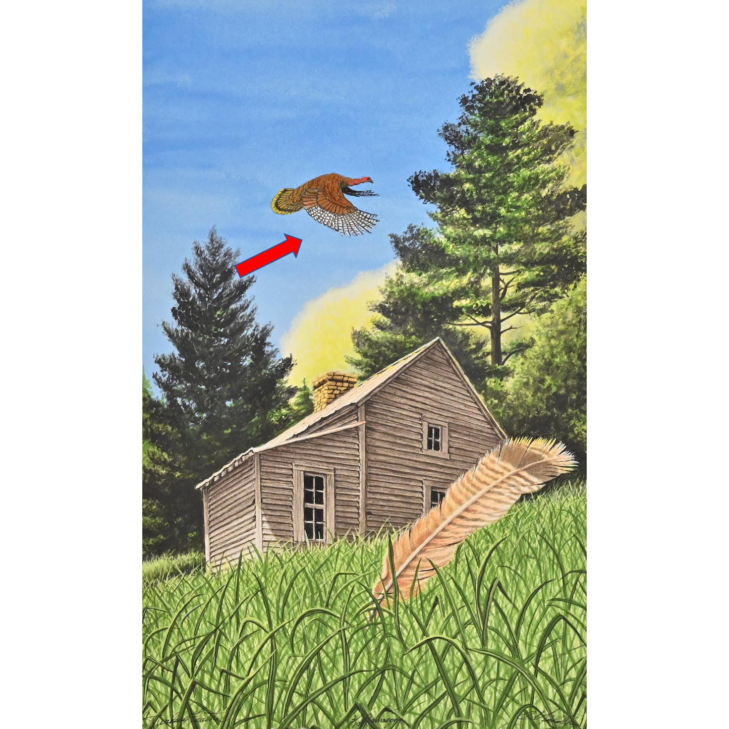 Turkey Feather Remarque #3/10