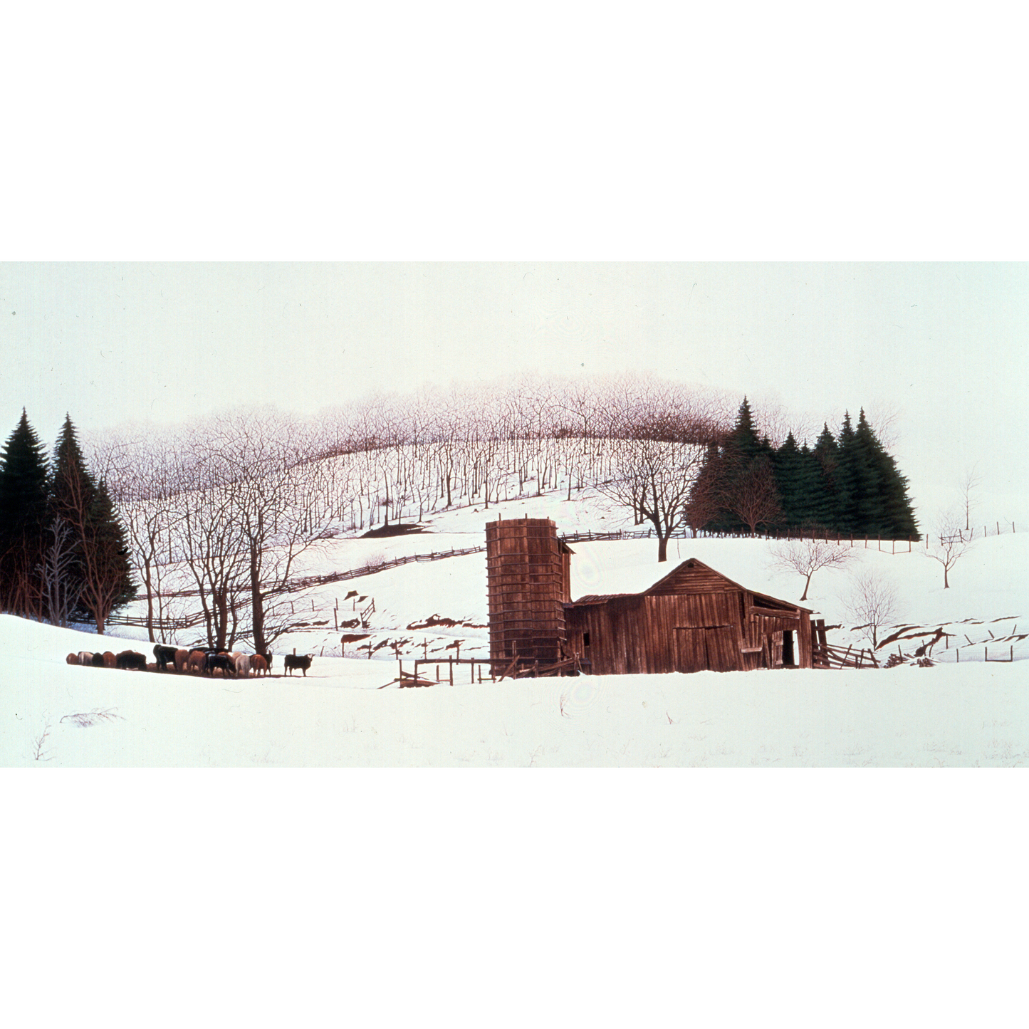 Near Boone