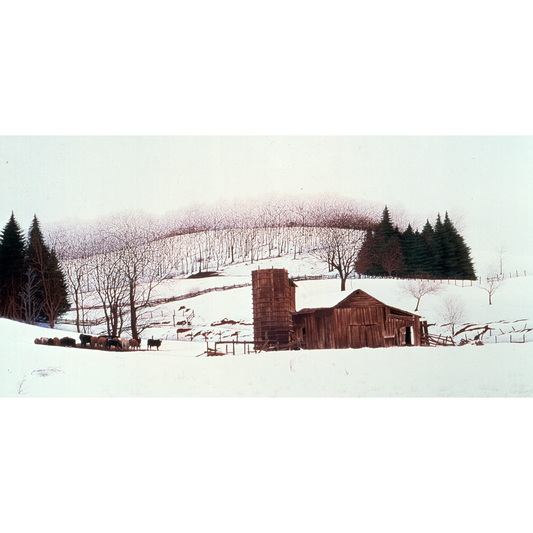 Near Boone