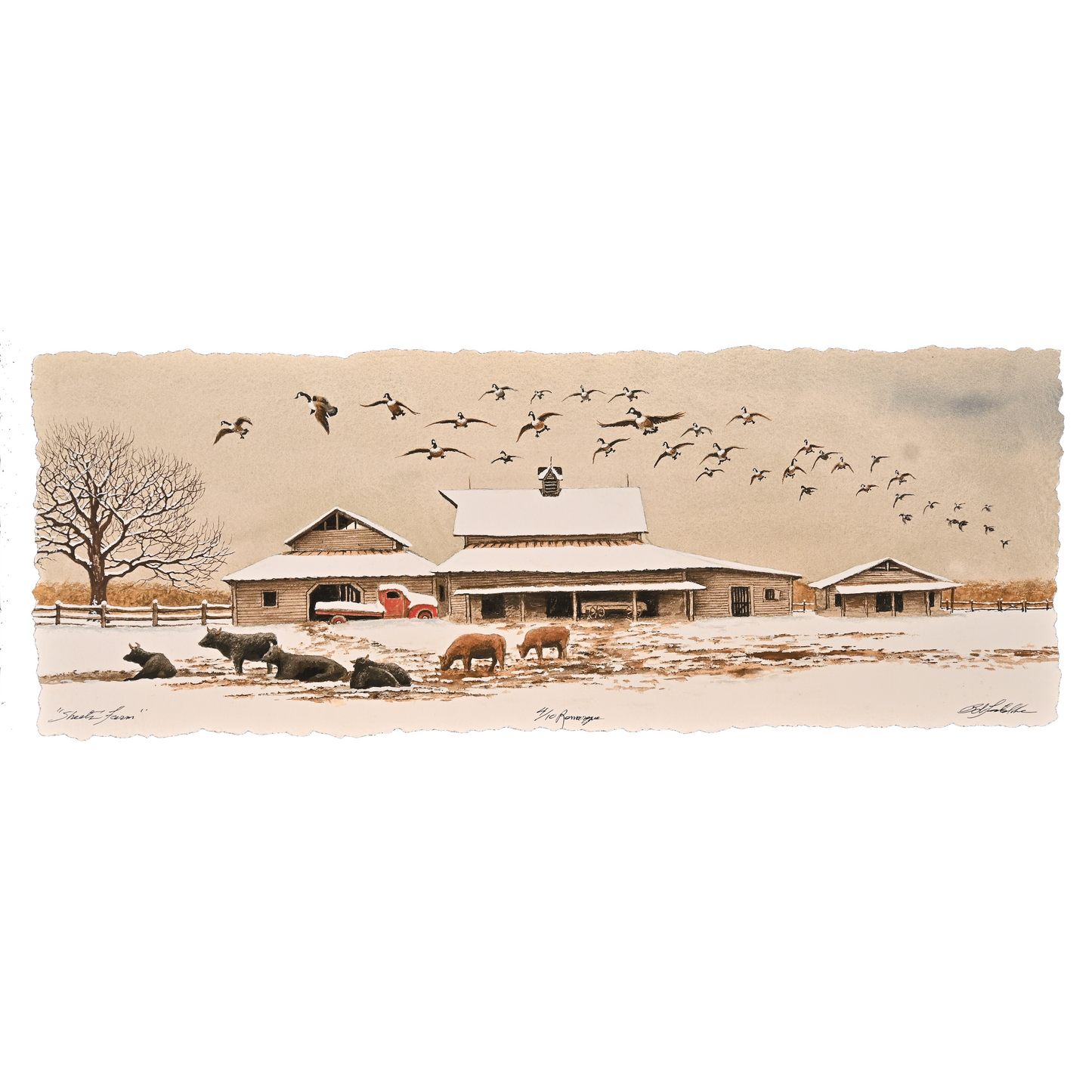 Sheets Farm # 4/10
