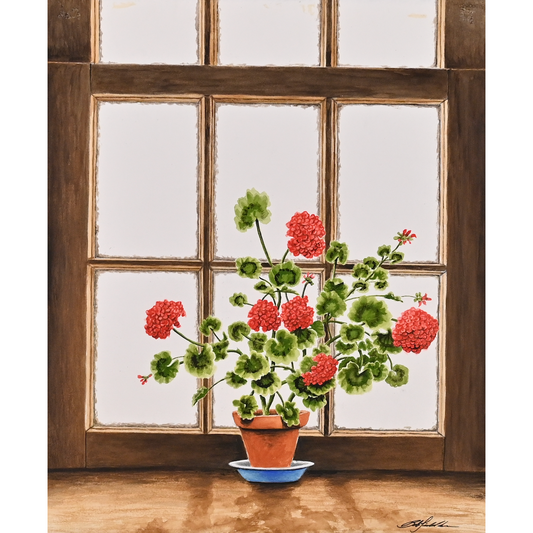 Window Geranium