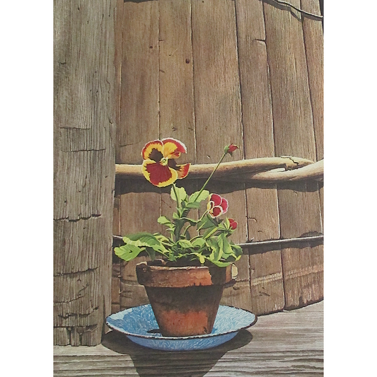 Pansies on the Porch