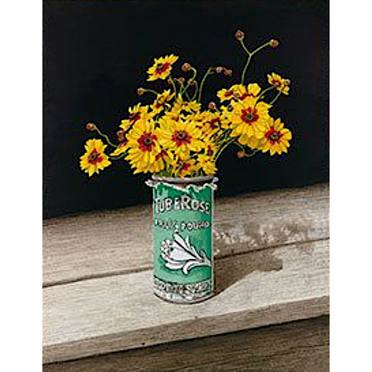 Spring Portfolio