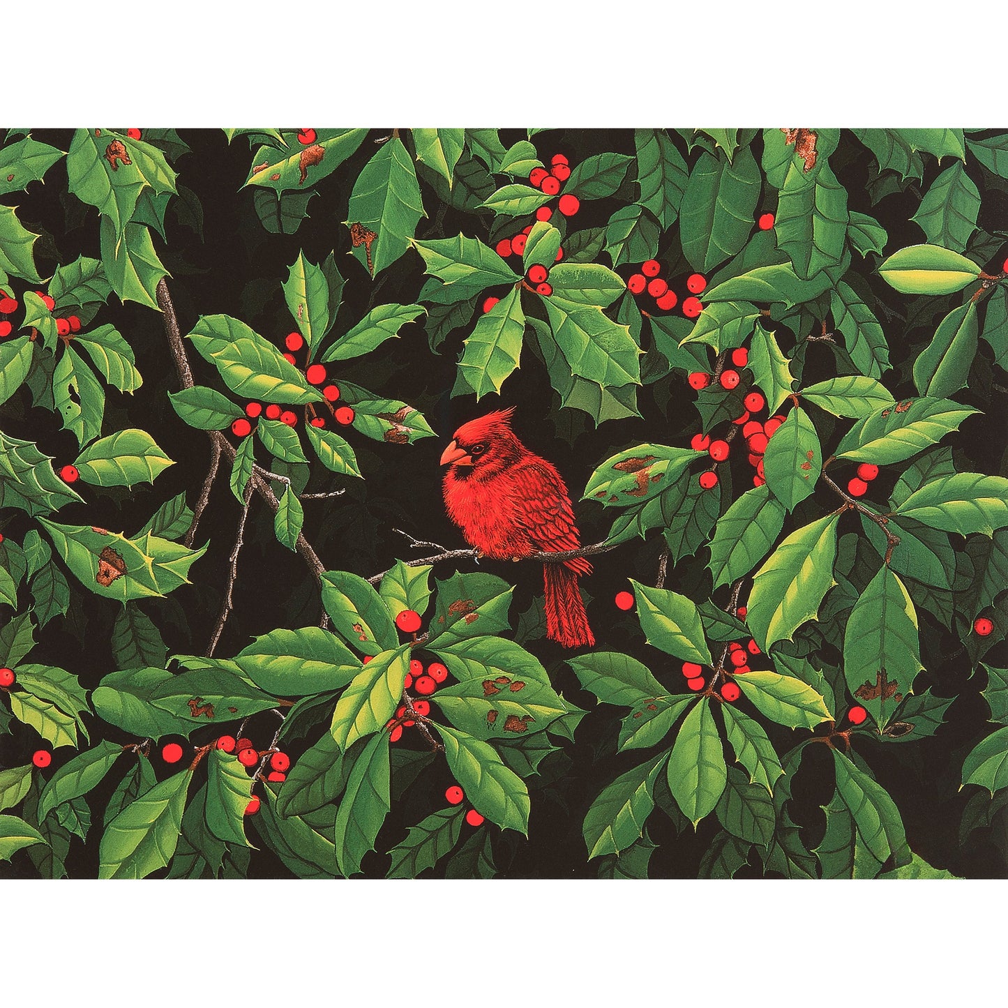 Christmas Portfolio