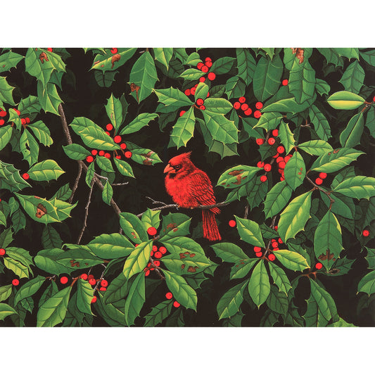 Christmas Portfolio