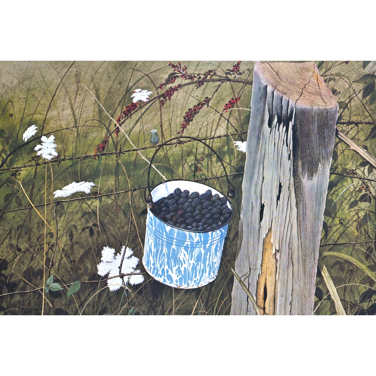 Blackberries