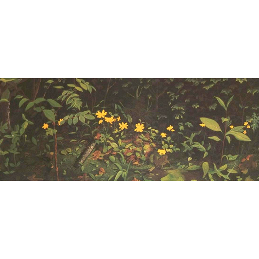 Woods Flowers