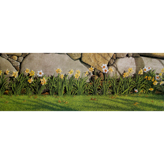 Studio Daffodils