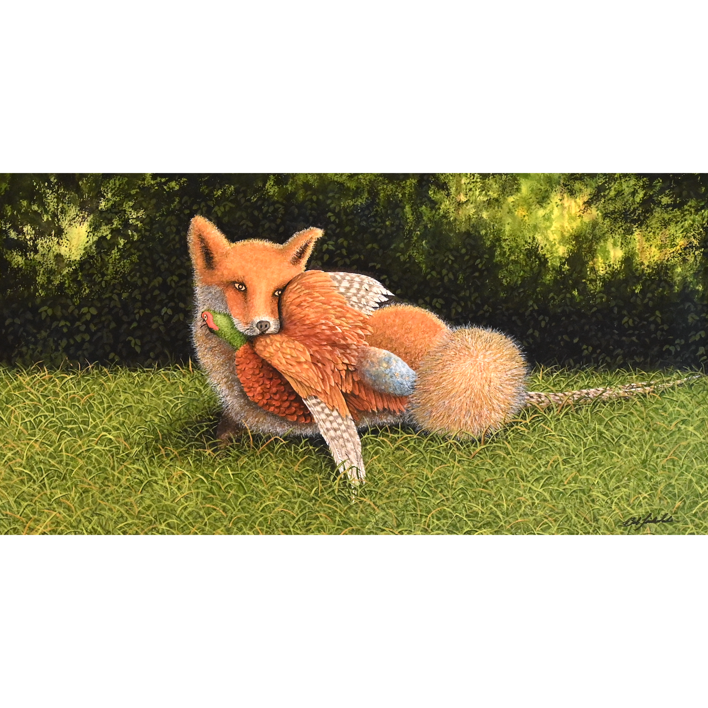 Fox