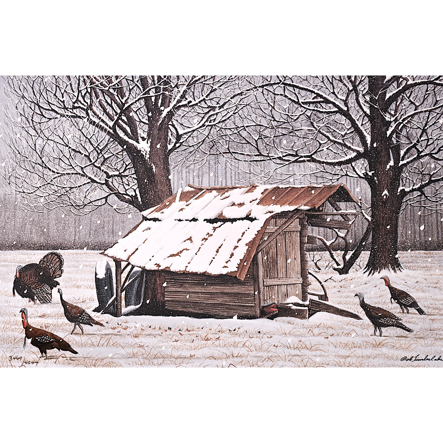 Nay's Turkeys 3469/4244