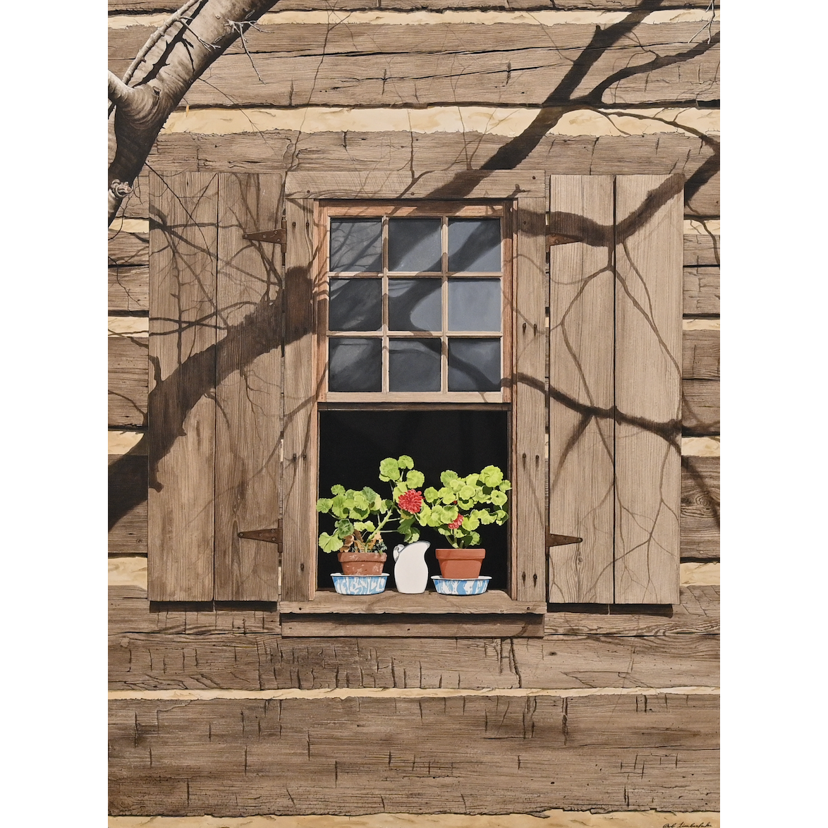 Studio Geraniums