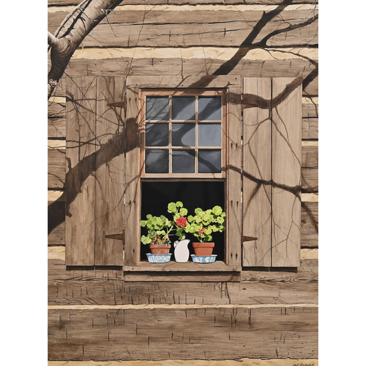 Studio Geraniums