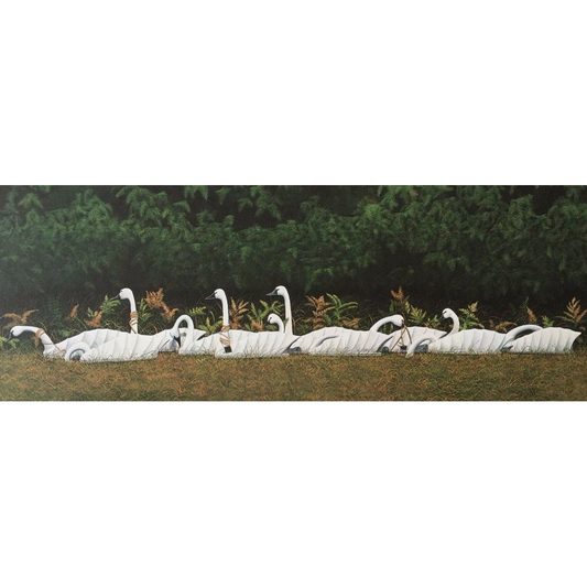 Swan Rig