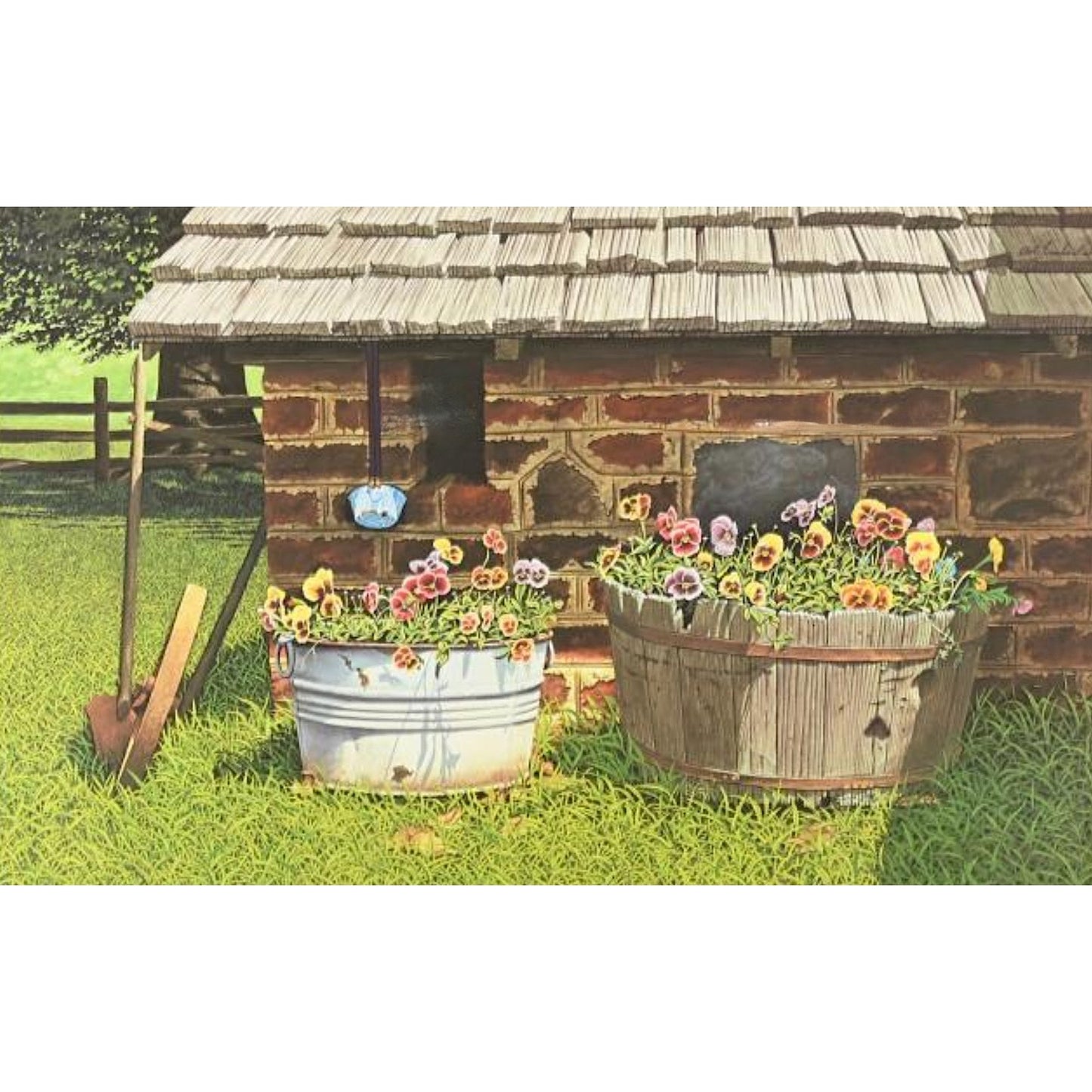Pumphouse Pansies