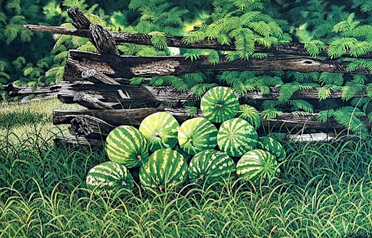 Summer Green