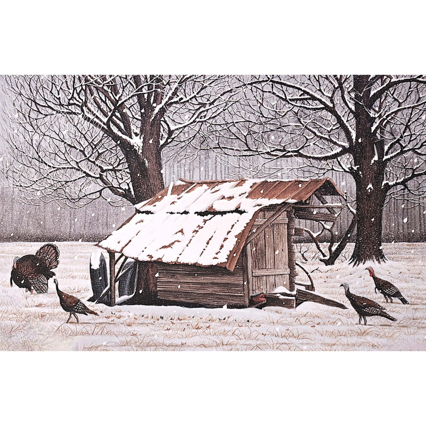 Winter Portfolio