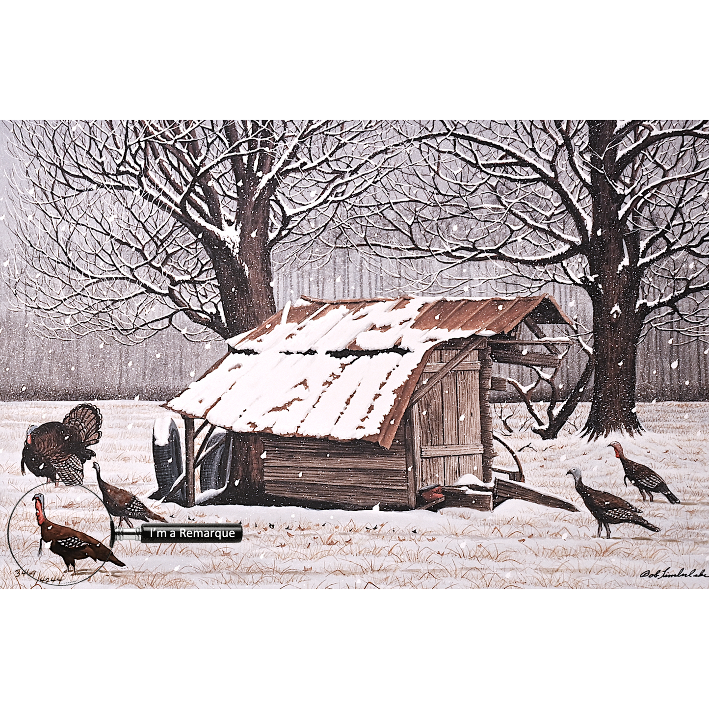 Nay's Turkeys 3469/4244