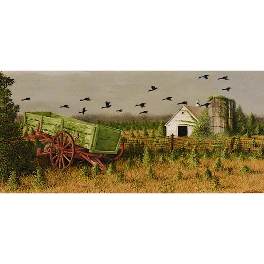 Field of View