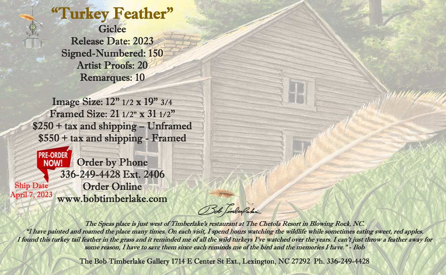 Turkey Feather