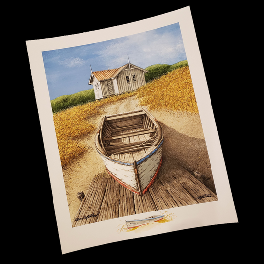 Return to Bald Head
