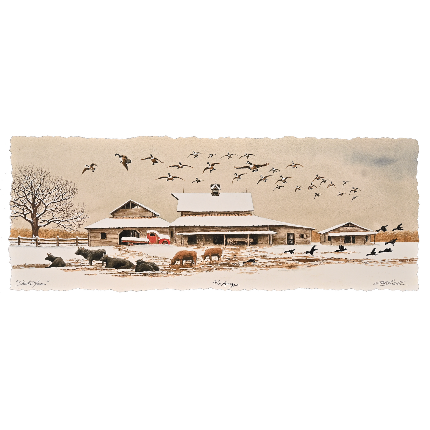 Sheets Farm # 2/10