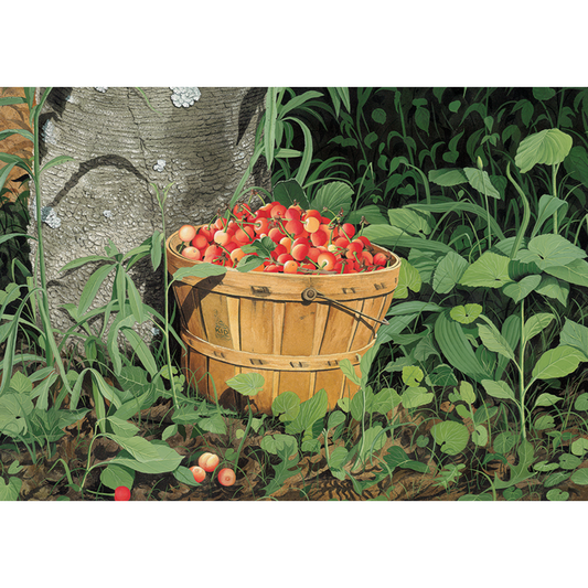 Dan's Cherries