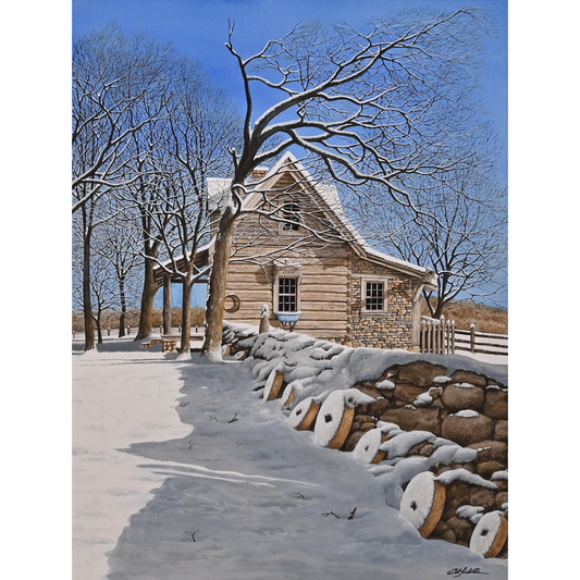 Studio Winter