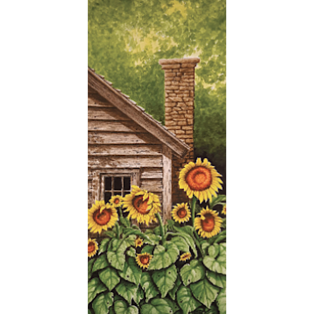 Studio Portfolio