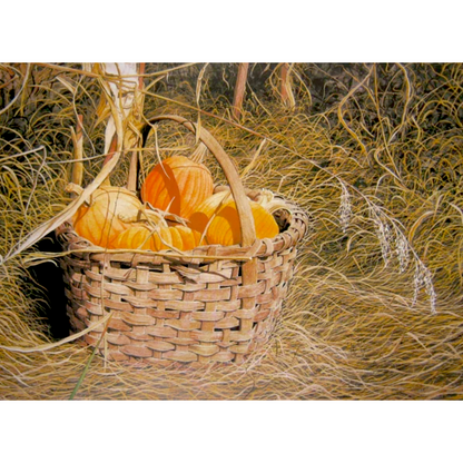 Pumpkins from my Garden