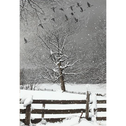 Winter Flight